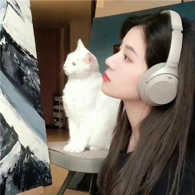 怪怪家庭